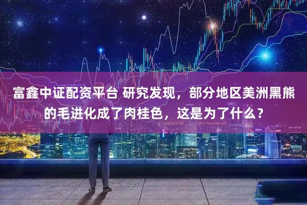富鑫中证配资平台 研究发现，部分地区美洲黑熊的毛进化成了肉桂色，这是为了什么？