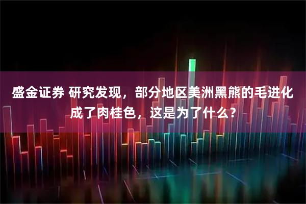 盛金证券 研究发现，部分地区美洲黑熊的毛进化成了肉桂色，这是为了什么？