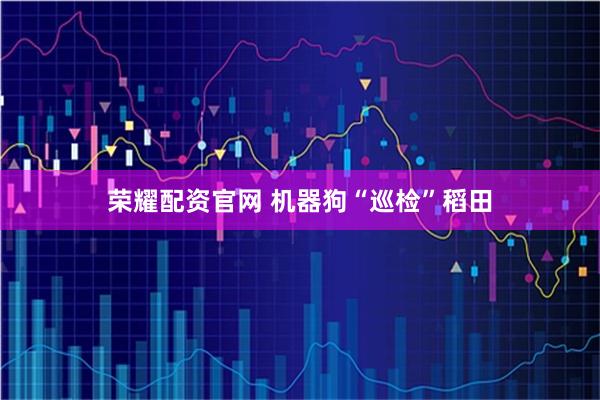 荣耀配资官网 机器狗“巡检”稻田