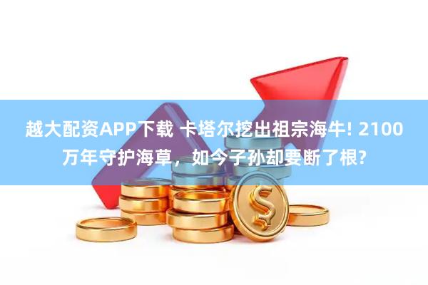 越大配资APP下载 卡塔尔挖出祖宗海牛! 2100万年守护海草，如今子孙却要断了根?