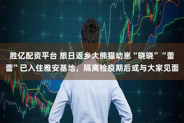 胜亿配资平台 旅日返乡大熊猫幼崽“晓晓”“蕾蕾”已入住雅安基地，隔离检疫期后或与大家见面