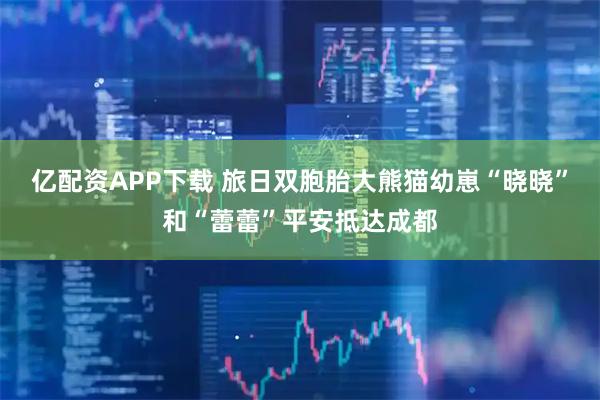 亿配资APP下载 旅日双胞胎大熊猫幼崽“晓晓”和“蕾蕾”平安抵达成都